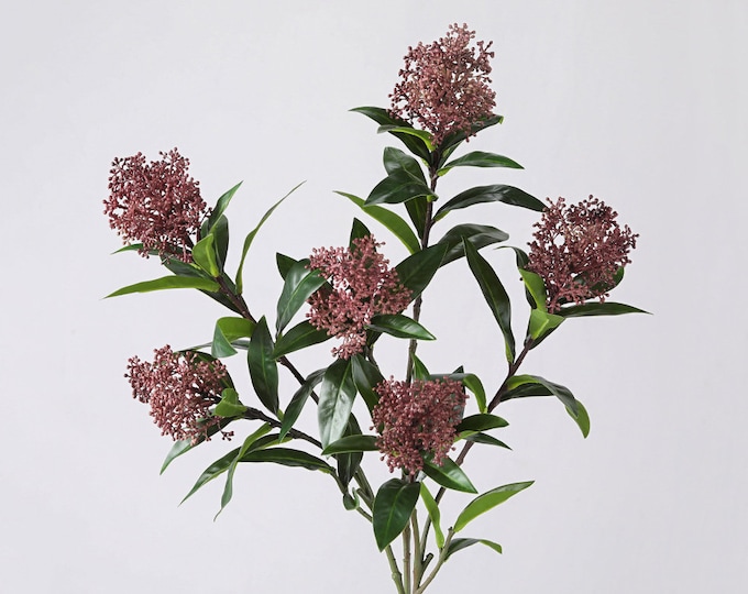 廃番 Mountain Laurel Designs チタンポット 520ml Mountain Laurel