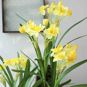 Daffodil Flower Stem with Leaves, Silk Narcissus Plant, Artificial Flower Craft, Home Floral Decor, Wedding Arrangement, Table Centerpiece image 4