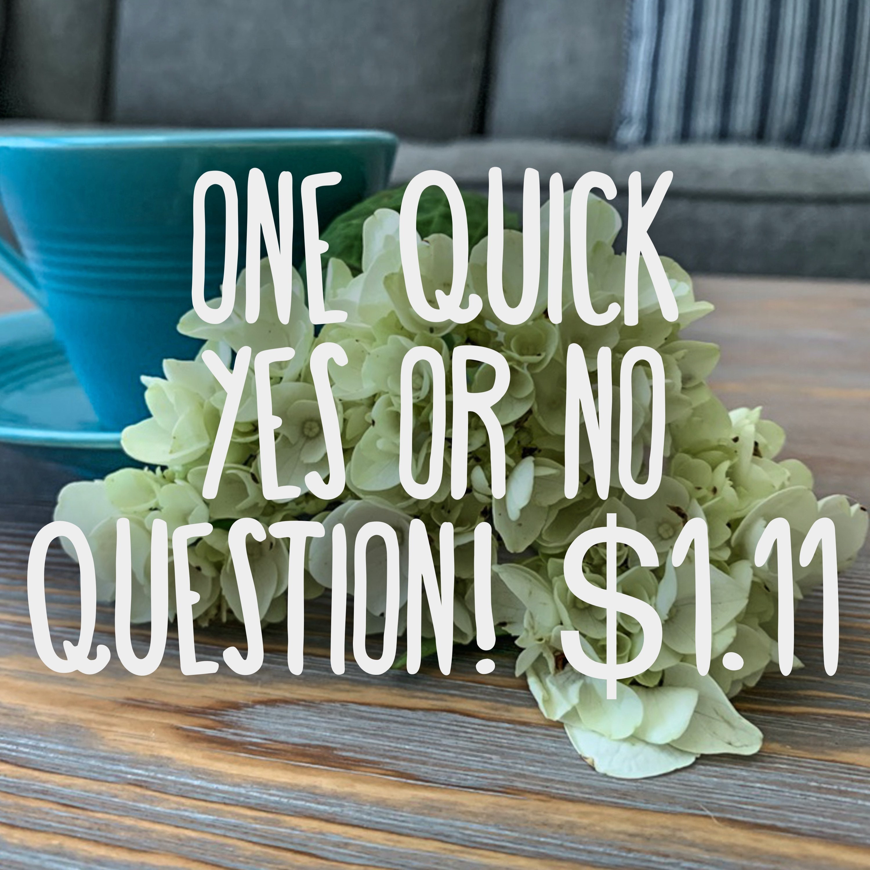 Quick YES or NO reading!!!