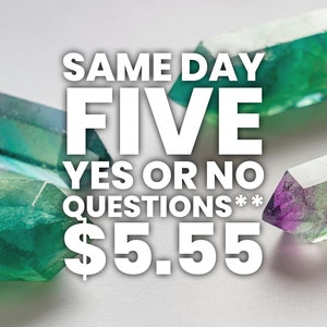 FIVE Yes or No Questions!