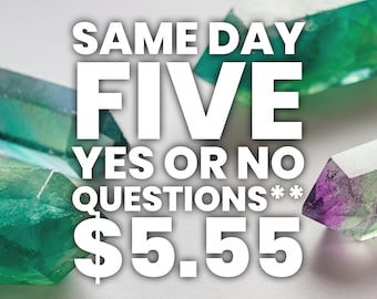FIVE Yes or No Questions!