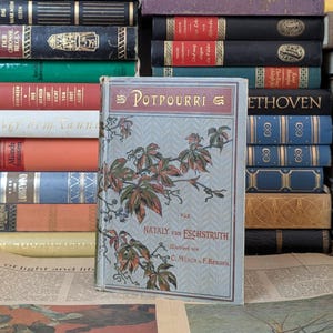 Potpourri by Nataly von Eschstruth Antique German Book 1800s - Early 1900s Vintage Literary Collectible