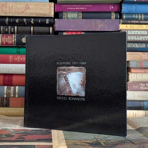 Cecco Bonanotte Sculptures 1971-1984 - 1984 - livre d'art vintage - art contemporain - artistes italiens - texte multilingue - biographie de l'artiste