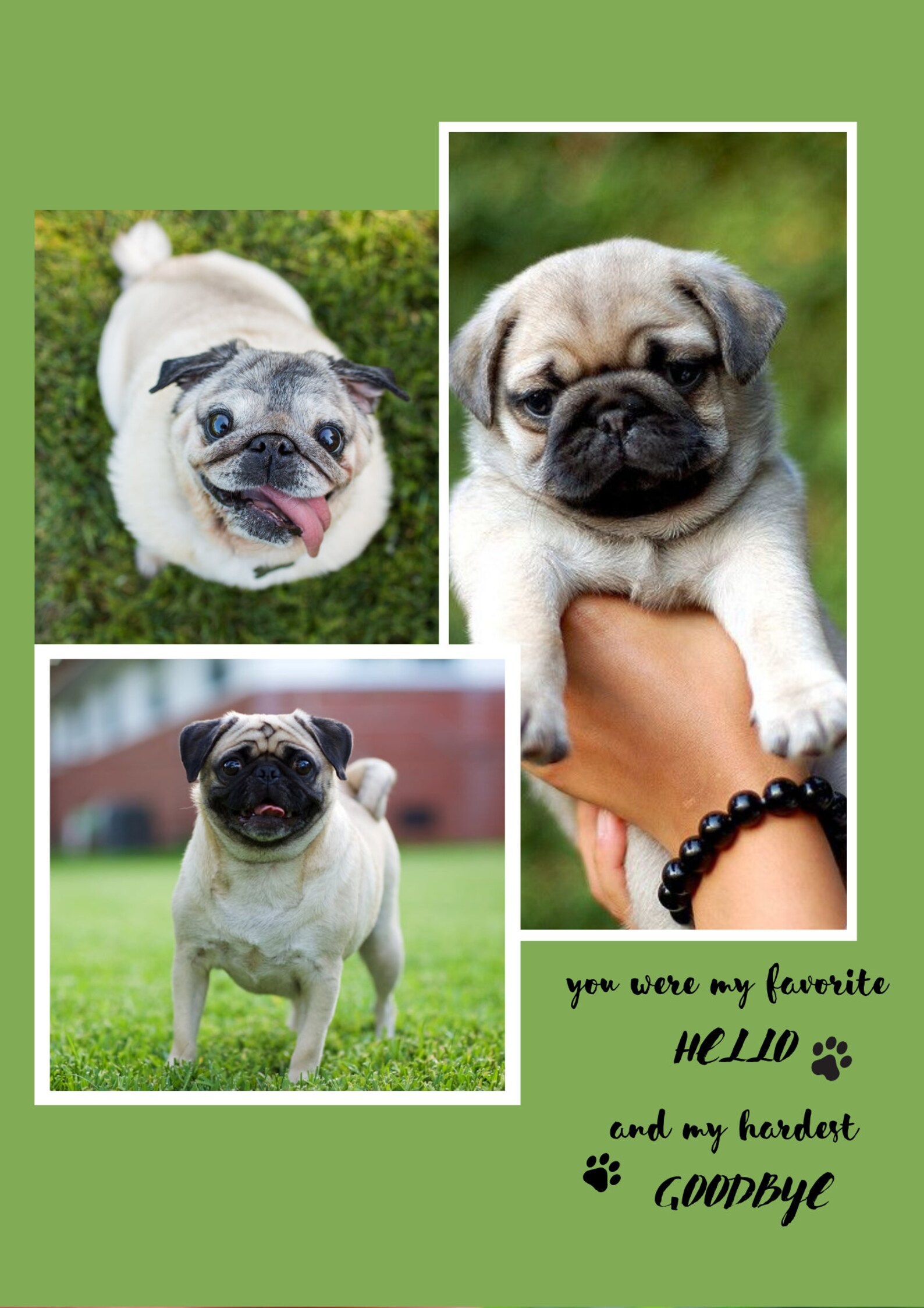 Dead Dog Gift 3 kit, Dog Remembrance Print Dog Passing Gift Idea, Custom Dog Print, Dog Lover