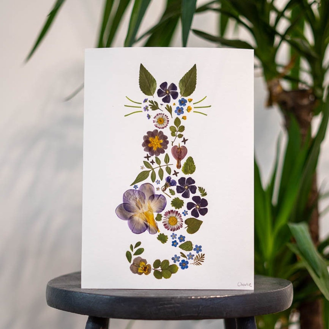Pressed Flower Floral Cat A4 Giclee Print Flower Cat Art Etsy