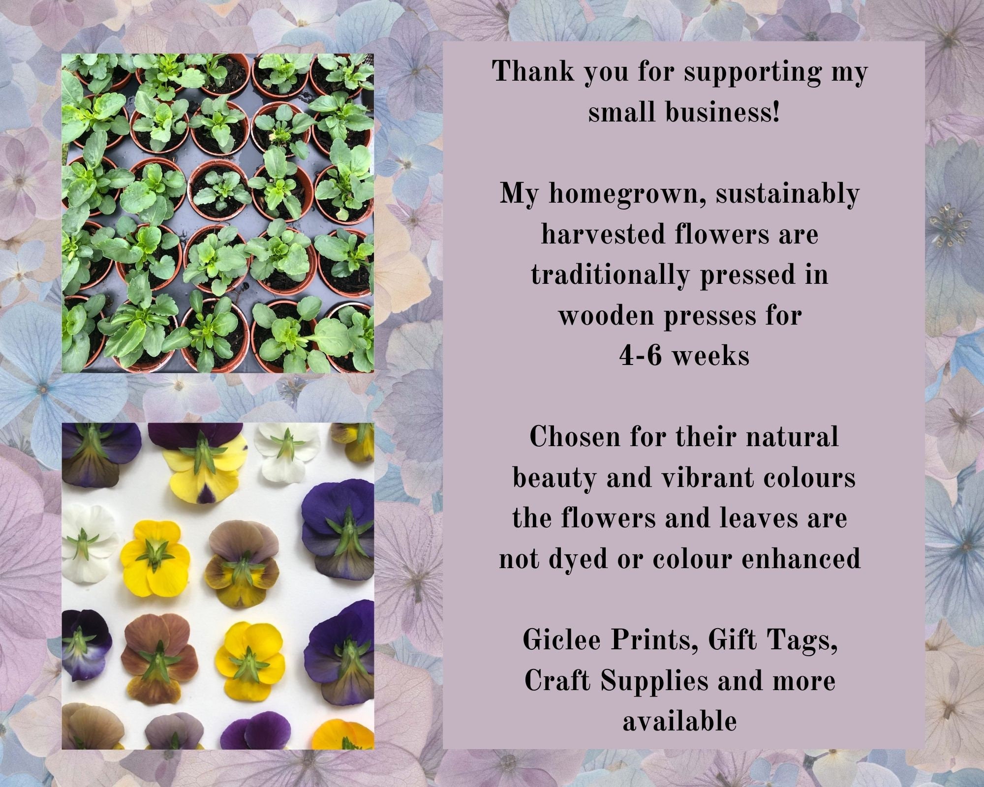 Pressed Flower Puppy Dog A4 Giclee Print, Flower Pet Art, Floral Animal