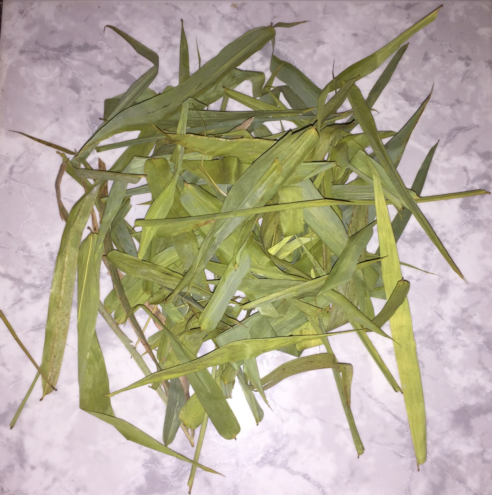 Dried Bamboo Leaves Etsy