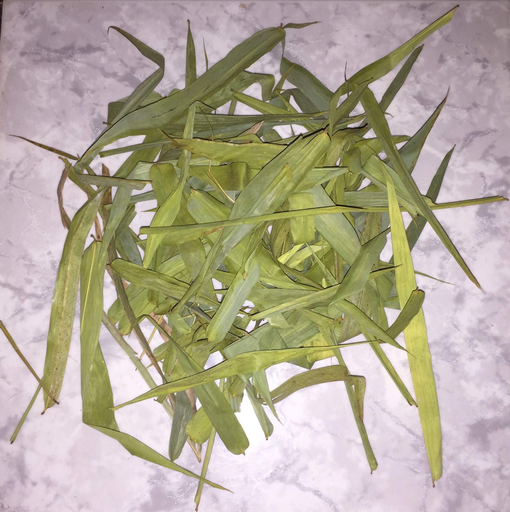 Dried Bamboo Leaves Etsy