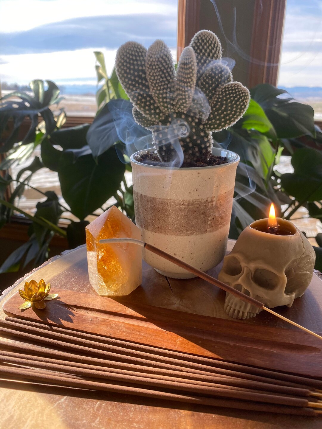 Hand Dipped Incense Nontoxic Crueltyfree Sustainably Etsy