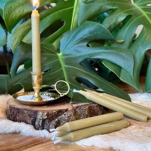 Puede incluir: Una vela cónica verde oliva encendida en un candelero de latón. Varias velas apagadas están al lado del soporte. Las velas están sobre una superficie de madera con un material blanco similar a la piel. Grandes hojas verdes en el fondo.