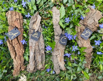 Bark Pieces from Powerful Lightning Struck Tree | Witchcraft Supplies