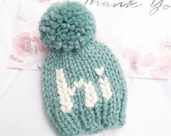 Gender neutral baby beanie/hi baby hat/ newborn photo hat/ Pom hat/ toddler winter hat/ newborn photo prop/ pom pom hat/ birth announcement