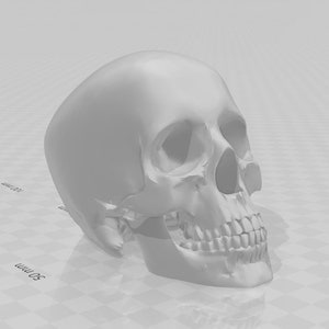 Head Skull Digital STL Zip File Download