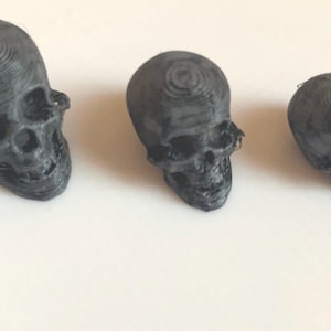 Head Skull - Painted or Unpainted Set of 5 Miniature 1/12 & 1/18 Scale For Action Figure