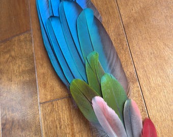 Set of 12 2-13" long Cruelty free Green-Wing Macaw Feathers, Happy Birds feathers. Parrot Feathers, Macaw Feather, for jewelry making, Métis
