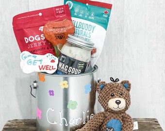 sick dog gift basket