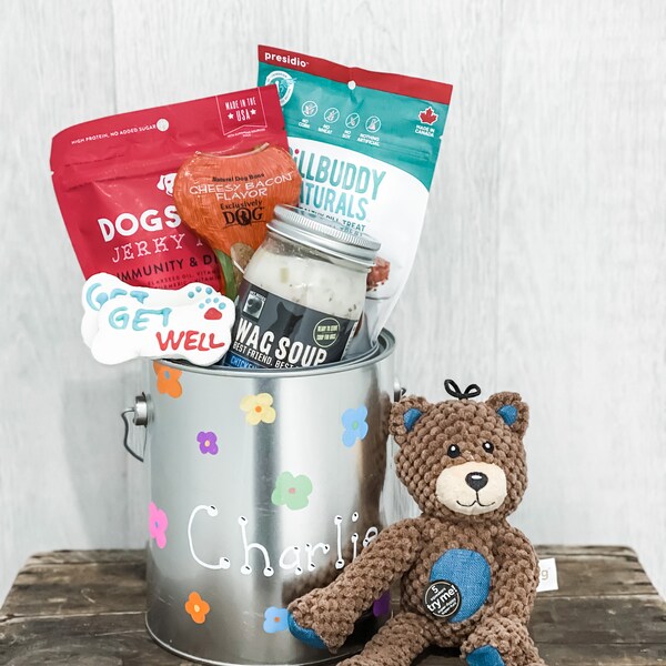 Dog Get Well Basket Etsy