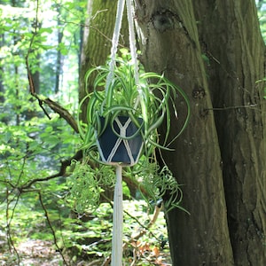 Könnte beinhalten: Ein weißer Makramee-Pflanzenhänger mit einem blau-weiß gemusterten Topf, in dem eine grüne Grünlilie wächst. Der Hänger hängt an einem Baumzweig in einem Wald.