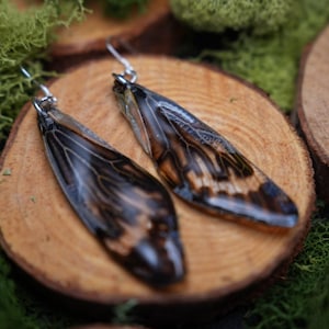 May include: A pair of earrings featuring a brown and black insect wing design. The wings are translucent and have a delicate, intricate pattern.