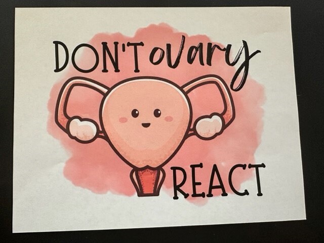 Don't Ovary React / OB Gyn Doctor / Female Anatomy Humor / Ovaries ...