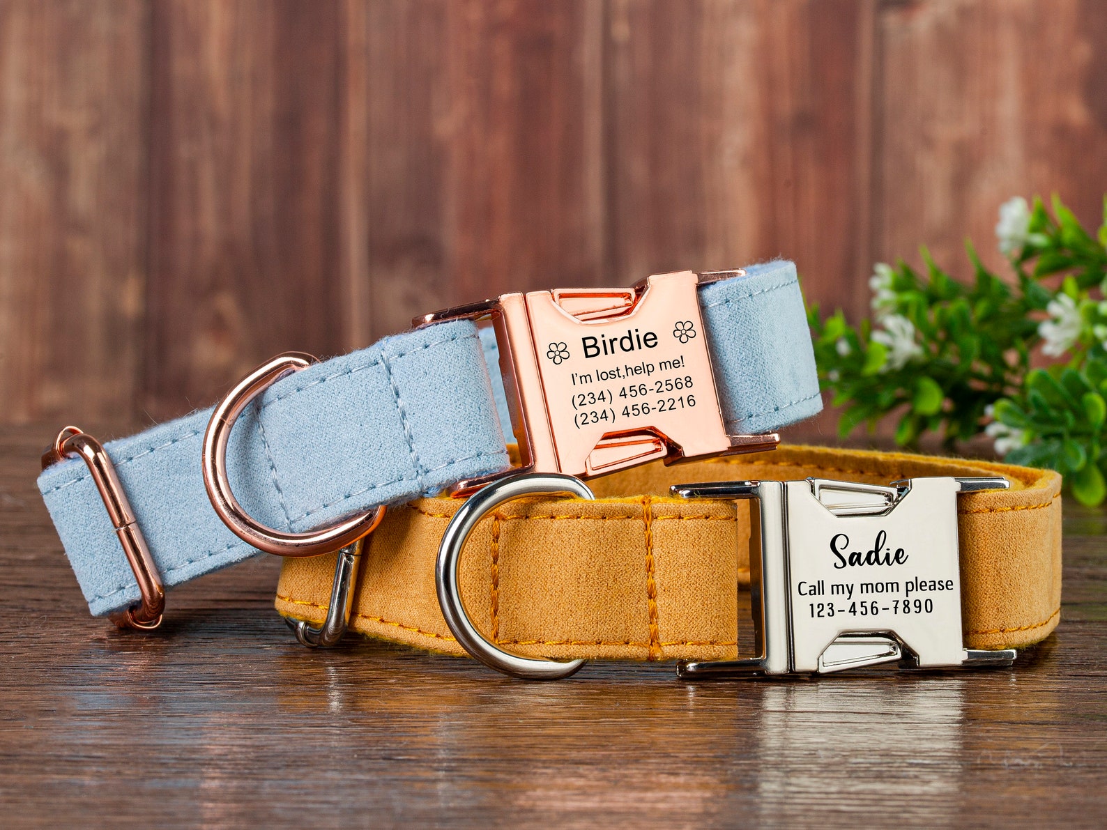 Dog Collar personalized Dog Collar Girl Dog Collar Boy Custom Etsy