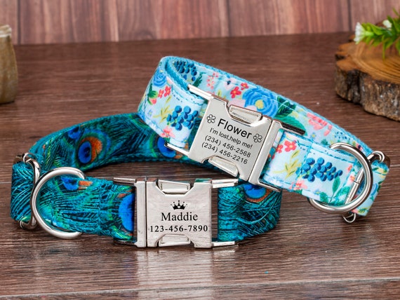 spindrift dog collars