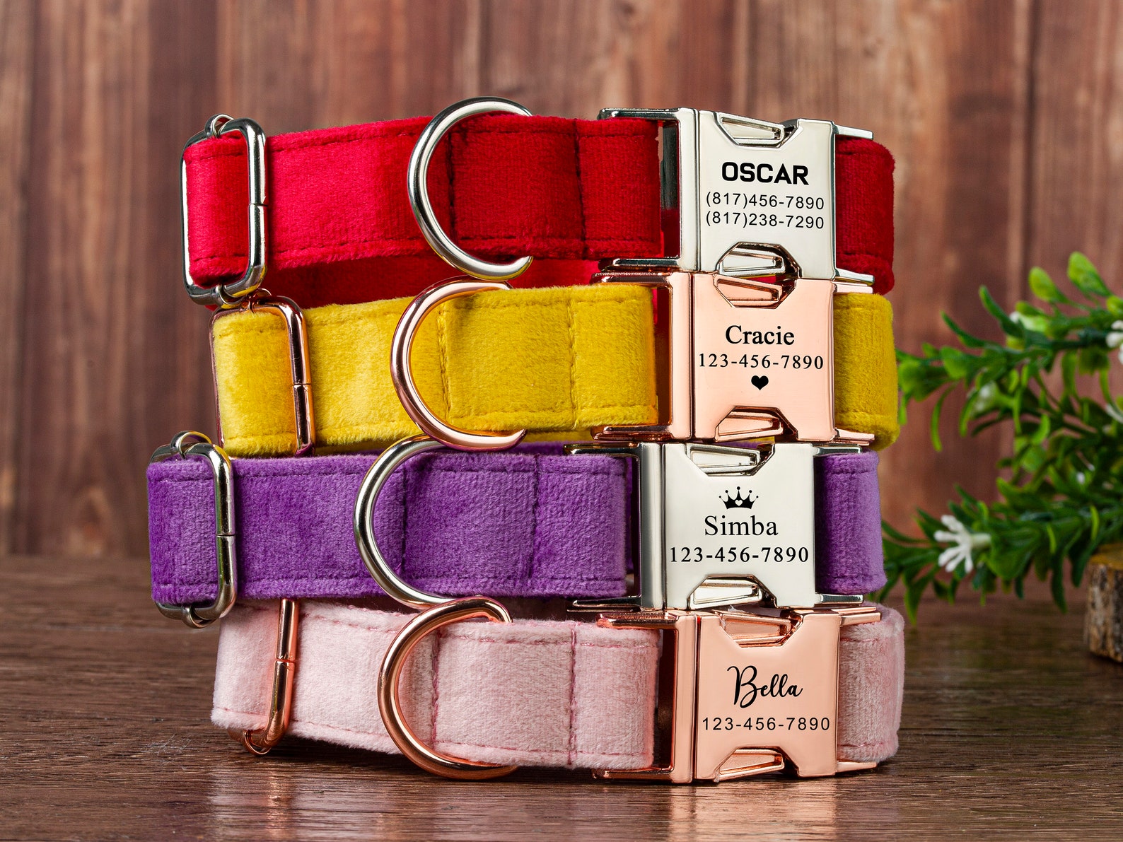 Dog Collar personalized Dog Collar Girl Dog Collar Boy Custom Etsy