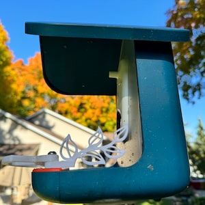 Custom Fence for Bird Buddy Feeder - 3 styles