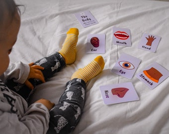 Toddler Flash Cards The Body | Printable Flash Cards | Early Years Learning