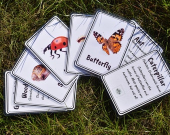 Toddler Flash Cards Minibeasts | Printable Flash Cards | Early Years Learning