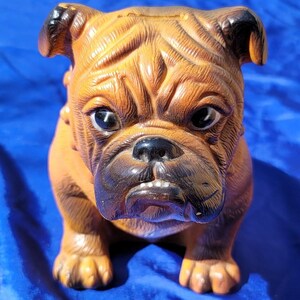 Mack Bulldog Piggy Bank - Etsy