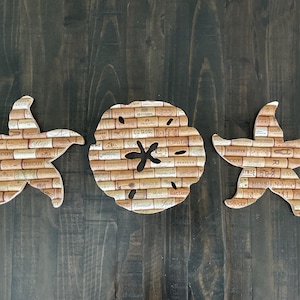 Starfish, Sand Dollar, Coastal Art, Beach Decor, Nautical Decor, Trio, Feature Wall