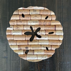 Sand Dollar, Coastal Art, Beach Decor, Nautical Decor