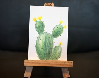 Yellow Flowers Opuntia - ACEO, Artist Trading Cards, Polychromos Color Pencils, Illustration, Original Artwork, Signed and Dated, 2.5x3.5"