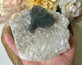 Può includere: Un grande gruppo di cristalli grezzi con un accento di fluorite verde scuro e viola. Il cristallo è tenuto su una fetta di legno, con uno sfondo di fiori color pesca, gialli e bianchi.