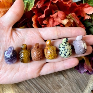 May include: A hand holds six small, carved gemstone turtle figurines. The turtles are various colors, including purple, brown, gold, yellow, and speckled black and white. The background includes flowers and a wooden surface.