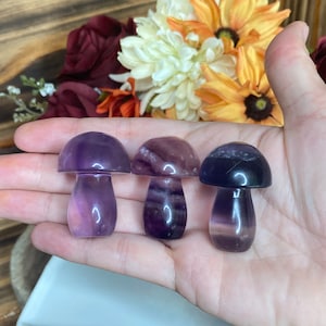 Fluorite Mushroom, crv372, Crystal Mushroom, Rainbow Fluorite