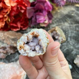 May include: A small, light purple amethyst geode with a rough, white exterior. The geode is open, revealing the purple crystals inside.