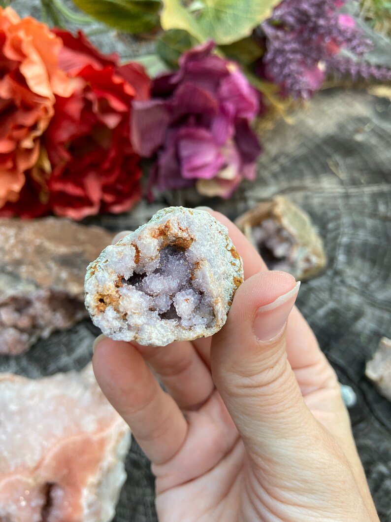 May include: A small, light purple amethyst geode with a rough, white exterior. The geode is open, revealing the purple crystals inside.