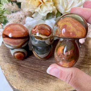 Polychrome Jasper Mushroom, Crystal Mushroom, crv288,