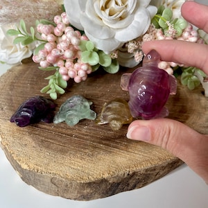 Fluorite Turtle, Crystal Turtle, crv150