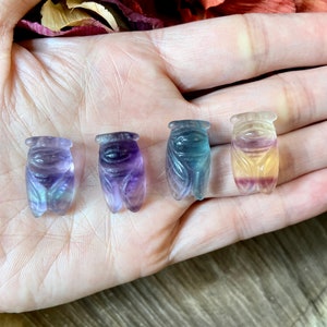 Mini Rainbow Fluorite Cicada, crv316, Crystal Cicada, Crystal Insect, Fluorite Insect, Fluorite Bug