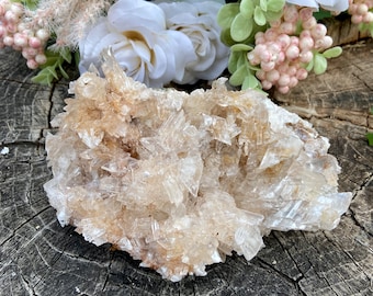 Può includere: Un gruppo di cristalli di calcite marrone chiaro con formazioni appuntite e affilate. I cristalli sono posti su uno sfondo di fiori bianchi e crema e verde, appoggiati su una superficie di legno stagionato.
