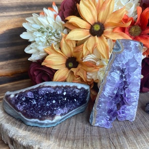 May include: Two amethyst crystal clusters, one with a flat base and the other with a pointed tip, are displayed on a wooden slice. The crystals are a deep purple colour and have a natural, rough texture.