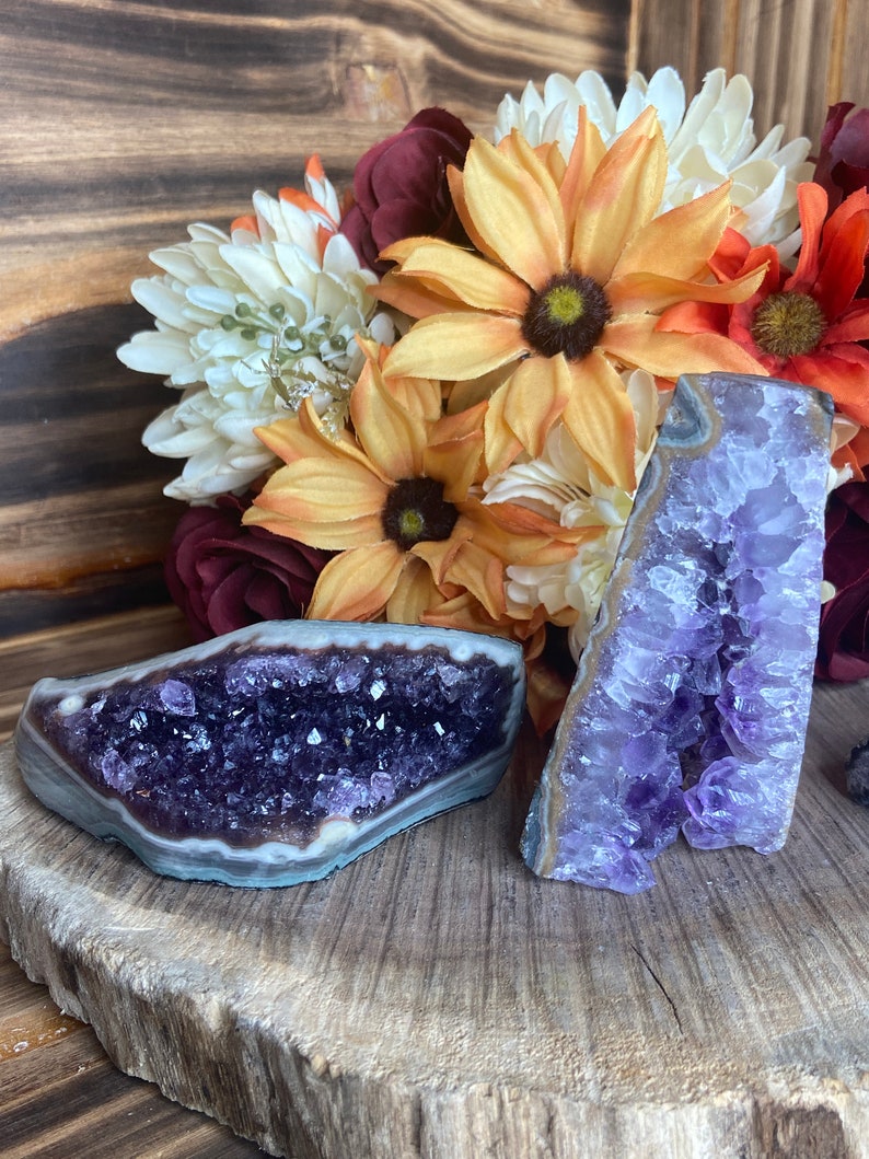 May include: Two amethyst crystal clusters, one with a flat base and the other with a pointed tip, are displayed on a wooden slice. The crystals are a deep purple colour and have a natural, rough texture.