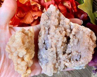 May include: Two raw, uncut crystals with a clustered, textured surface. The larger crystal is a light purple color, while the smaller one is a light peach color. The crystals are held in a hand, with orange and red flowers in the background.