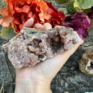 May include: A large, pink amethyst geode with a hollow center and a rough, natural exterior. The geode is being held in a hand, and there are other smaller geodes in the background.