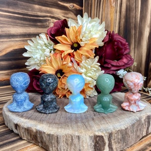 Könnte beinhalten: Fünf kleine Alien-Figuren in verschiedenen Farben, darunter Blau, Grau, Opal, Grün und Rosa, sind auf einer Holzscheibe angeordnet. Die Figuren befinden sich in einer sitzenden Pose. Ein Blumenstrauß in Orange-, Weiß- und Burgundertönen befindet sich im Hintergrund.