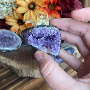 May include: A purple amethyst crystal geode with a natural opening revealing the inner crystal formations. The geode is held in a hand against a background of colourful flowers.