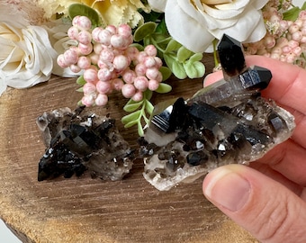 Smoky Quartz Cluster, Crystal Specimen, spc151